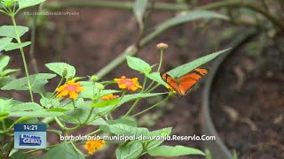 Borboletário de Urânia concilia natureza com literatura [upl. by Luigino]