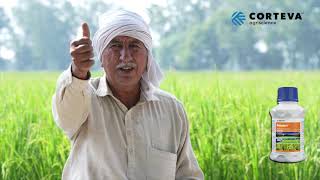 Pexalon  Corteva  Ramveer  Farmer Testimonial  Haryana  Hindi  Rice [upl. by Brower183]