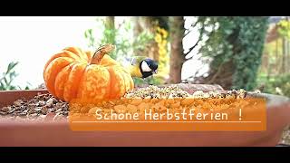 Schöne Herbstferien [upl. by Inoj333]