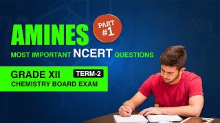 NCERT Questions of Amines Class 12  Amines NCERT Questions Answers Notes amp Solutions  Part 1 [upl. by Melville]