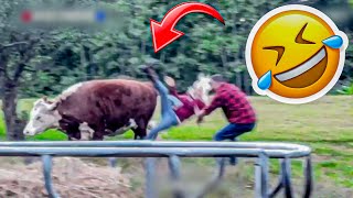 Best Fails of the week  Funniest Fails Compilation  Funny Videos 😂  Part 25 [upl. by Certie851]