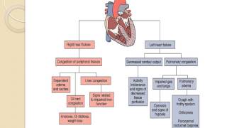 Pediatric Cardiac Lecture [upl. by Banwell]