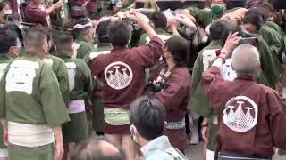 Asakusa Japan 浅草神社例大祭 三社祭宮出し。 [upl. by Ydnyl]