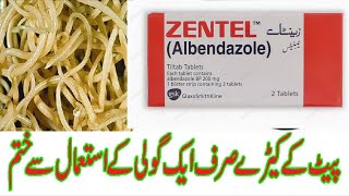 Zentel tablets  Albendazole  400mg  uses side effects and contraindications in urdu and Hindi [upl. by Nekcarb165]