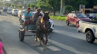 Caballito ”chontaleño” [upl. by Ahsilet176]