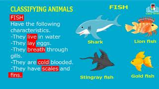 classifying animals  classification of animals class order division of animals and types [upl. by Annaihs]