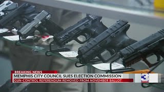 City Council sues election commission over gun referendum [upl. by Liuqa808]