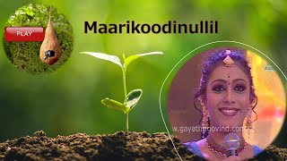 Maarikoodinullil Dance Performance  Gayathri Govind  Vodafone Thakadhimi  Mix Masala Round [upl. by Fanni]