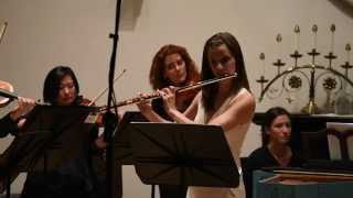 J S Bach Brandenburg Concerto 5 Alice Dade  Noam Elkies  HD 2015 Festival Mozaic [upl. by Yasnyl650]