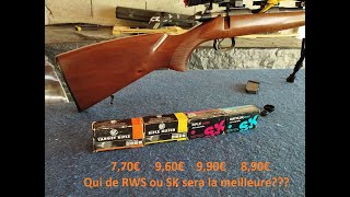 Test 22lr partie 3  RWS VS SK [upl. by Cleodel]