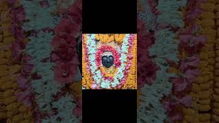 ugate Suraj dev Chhath Maiyama music viralvideo viralshort [upl. by Aileahcim969]