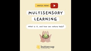 Multisensory Learning [upl. by Aihsele]