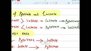 Lactate utilization  biochemistry [upl. by Thorlay368]