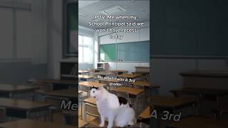 The principal says we got no recess funny cat relatable [upl. by Yereffej]