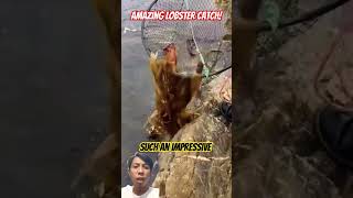 Man Catches Incredible Lobsters with a Net – Unbelievable [upl. by Kimberlee]