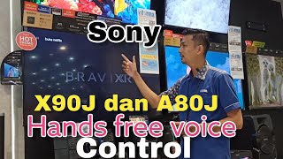 cara mengaktifkan hands free voice control sony X90J dan A80J [upl. by Melisse836]