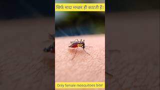 Only female mosquitoes bite facts ytshorts [upl. by Pernick]