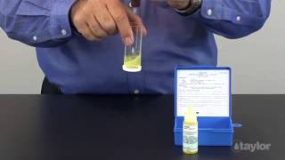 Testing Sodium Chloride Salt with an Electrolytic Chlorine Generator System [upl. by Htidirrem365]