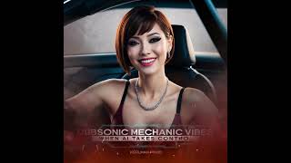 DubSonic Mechanic Vibes  When AI takes control  Electronic dance music House Electro house [upl. by Wash]