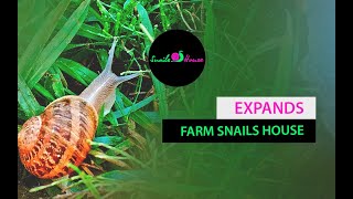 The farm “Snails House” expands [upl. by Dinsmore]