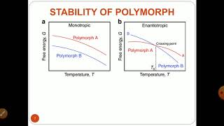 Polymorphism [upl. by Carter721]