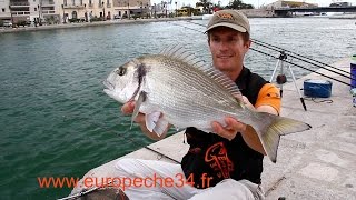 Pêche des grosses dorades de Sète par Europêche34 [upl. by Ettenna24]