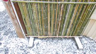 Bamboo Fence Screen Is Easy To Build [upl. by Ahseka513]