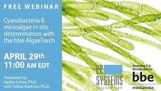 Cyanobacteria amp Microalgae In Situ Determination with the AlgaeTorch [upl. by Juta896]
