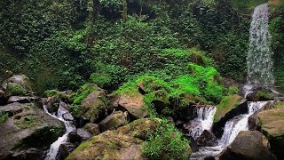 Relaxing Waterfall Sound Forest waterfalls are relaxing relieve stress help meditation and Yoga [upl. by Villiers]