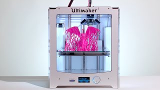 3D Printed Dragon  Ultimaker 3D Printing Timelapse [upl. by Antonia675]