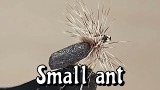 SMALL ANT  20 Grayling dry flies [upl. by Dodds]