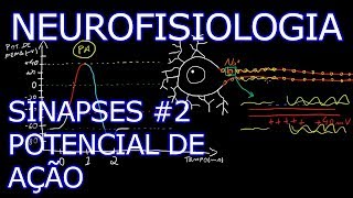 Aula Neurofisiologia  Sinapses 2  Potencial de Ação  Neurofisiologia Humana [upl. by Ahkos]