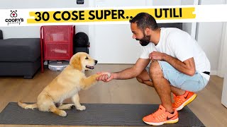 Le 30 cose da insegnare al cucciolo prima degli 8 mesi  Come educare un cucciolo di cane [upl. by Gutow139]