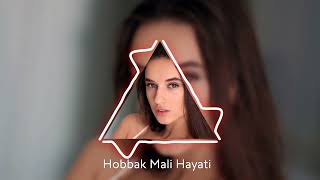 Hobbak Mali Hayati  ReMix 2024 By  Rami Al Monsour [upl. by Amyas]