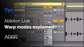 Ableton Live warp modes explained [upl. by Rosella871]