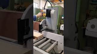 cutting machine for wood model BOTTENE [upl. by Aria956]