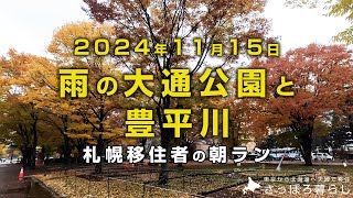 今日は雨でした。ドラクエとイントネーションの話をしてます｜札幌移住者の日常 [upl. by Viola]