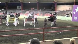 National Clydesdale Show 2012 Cart Class [upl. by Jump]