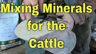 Mixing minerals for your cattle and forage talk [upl. by Wilfrid299]