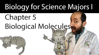 Chapter 5 – The Structure and Function of Large Biological Molecules [upl. by Ila]