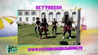 Equipe SKYFREESH 17  Faites danser le monde [upl. by Jaddo]