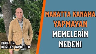 Makatta Kanama Yapmayan Memelerin Nedeni  Tek Sebebi Basur Mu [upl. by Hildegarde447]