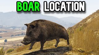 Gta Online Boar Location  Where to find boars in Gta 5 [upl. by Anitsirk578]