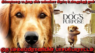 ஒரு செல்லப்பிராணியின் பாசப்போராட்டம் A Dogs Purpose தமிழ் விளக்கம்By Voiceover With Vickii [upl. by Rieth]