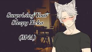 Surprising Your Sleepy Neko  ASMR Roleplay M4A [upl. by Neda]