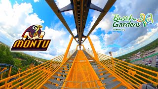 Montu  Inverted Roller Coaster  Front Seat 4K POV  Busch Gardens Tampa  20230707 [upl. by Phipps676]