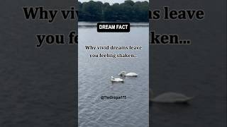 Why vivid dreams leave you feeling shakensubscribe dream facts shorts [upl. by Ekram]