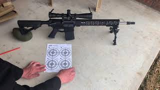 Palmetto State Armory PSA10 impressions and review [upl. by Anidualc]