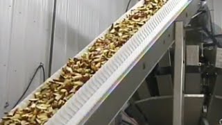 Novus Form Fill Seal Bagger Running Fresh Apple Slices  100 packs per minute Production Setting [upl. by Ardiekal615]