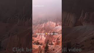 Hoodoos Unveiled Sunrise Spectacle at Bryce Canyon National Park [upl. by Bremen831]